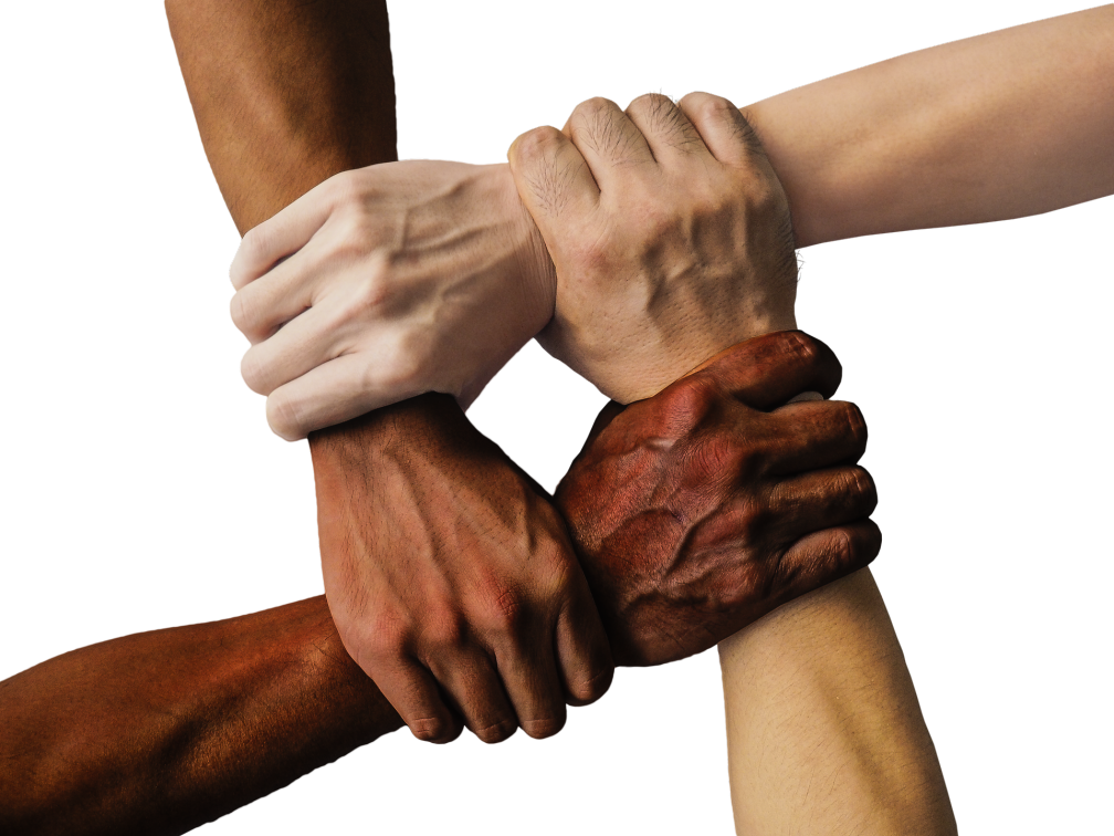 People of different races holding hands