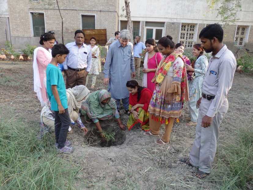 Fr. Liam plants trees