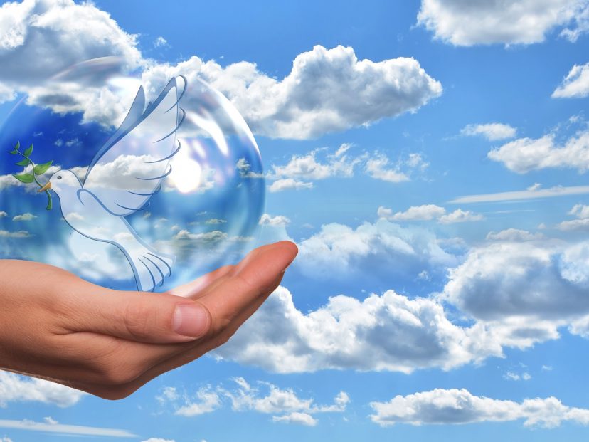 hand holding peace dove