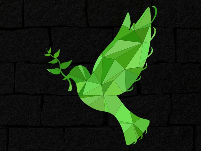 greendove representing peace