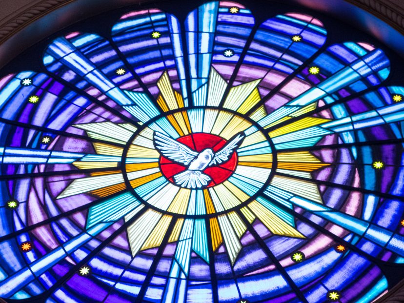 dove in stained glass window