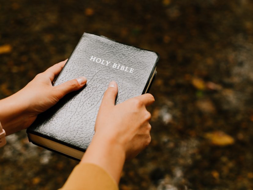 hands holding bible