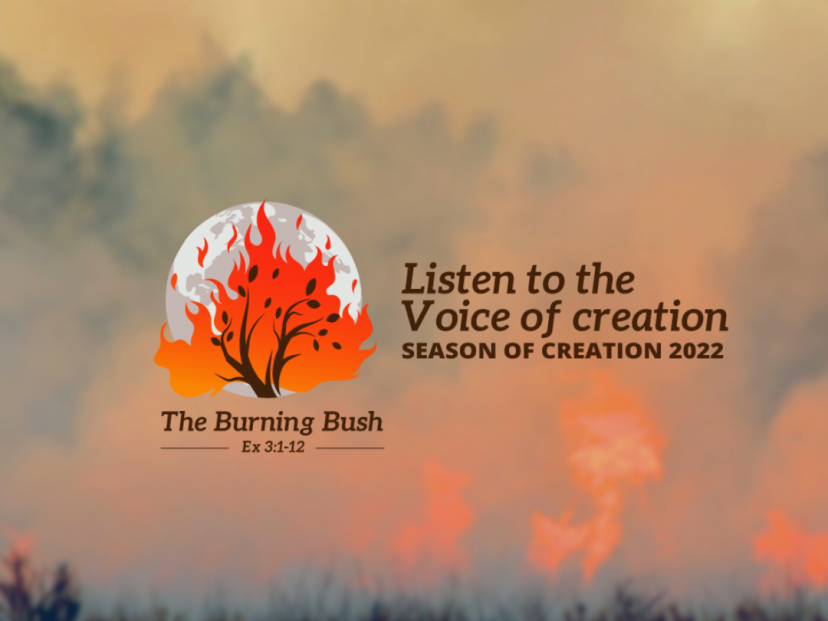 Season of Creation Burning Bush