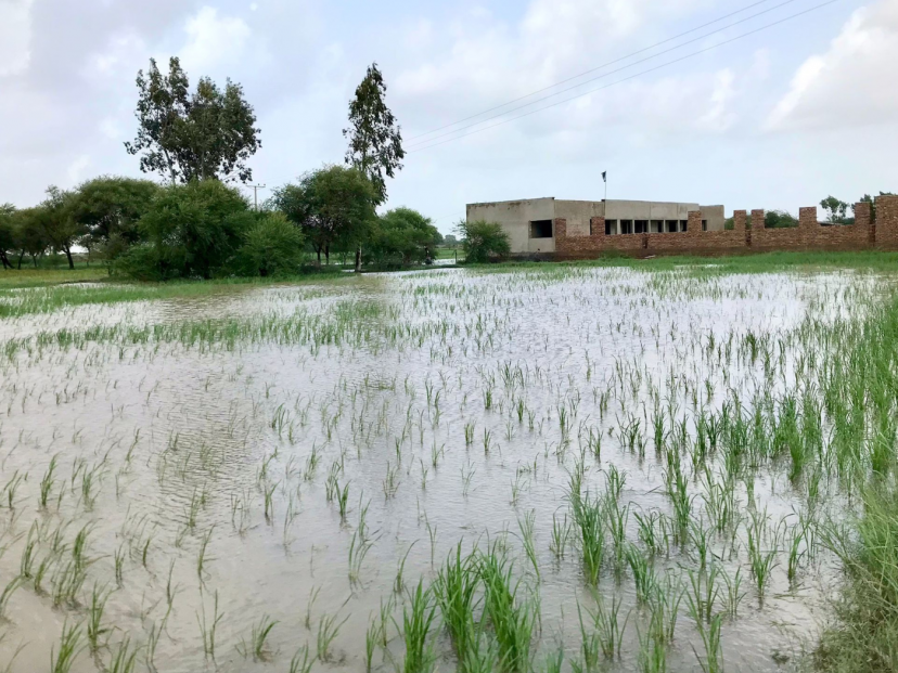 Flooding in the Sindh province in Pakistan
