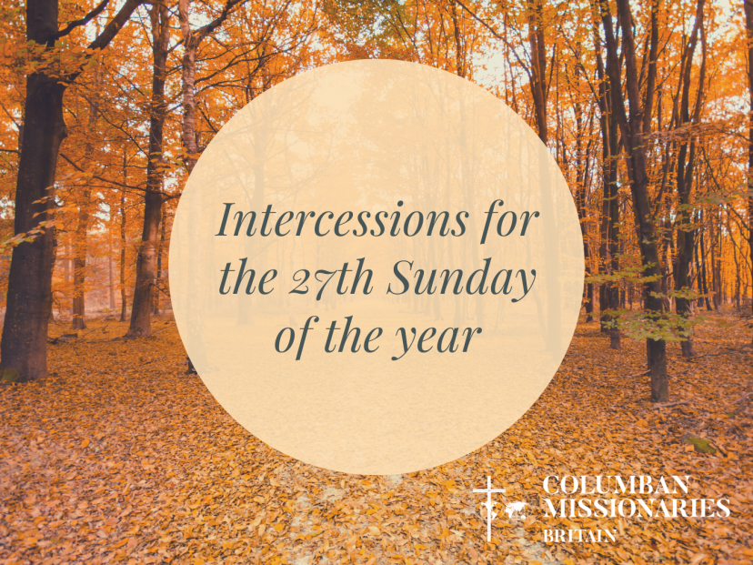 intercession 27th Sunday of the year