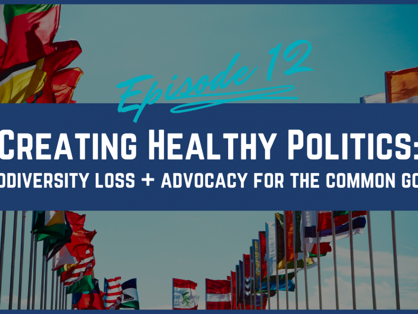 Episode 12 Jubilee for the Earth