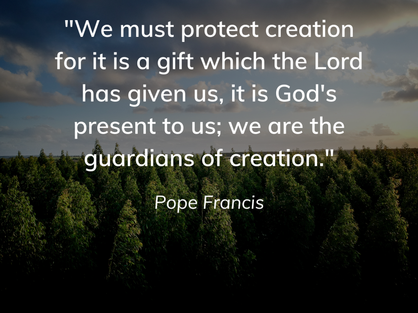 Pope Francis quote on Creation