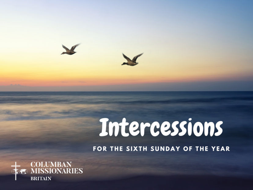 Intercessions 6th Sunday of the year