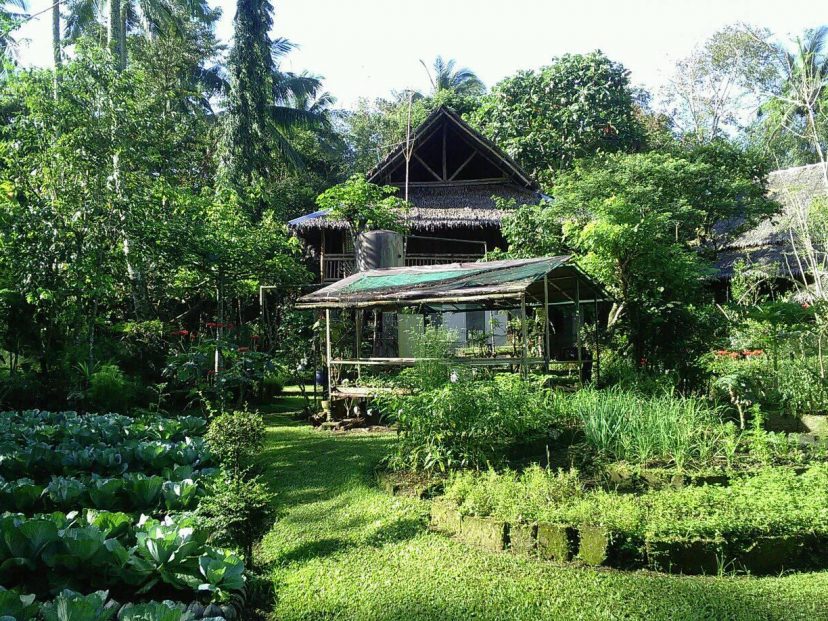 Centre for Ecozoic Living and Learning