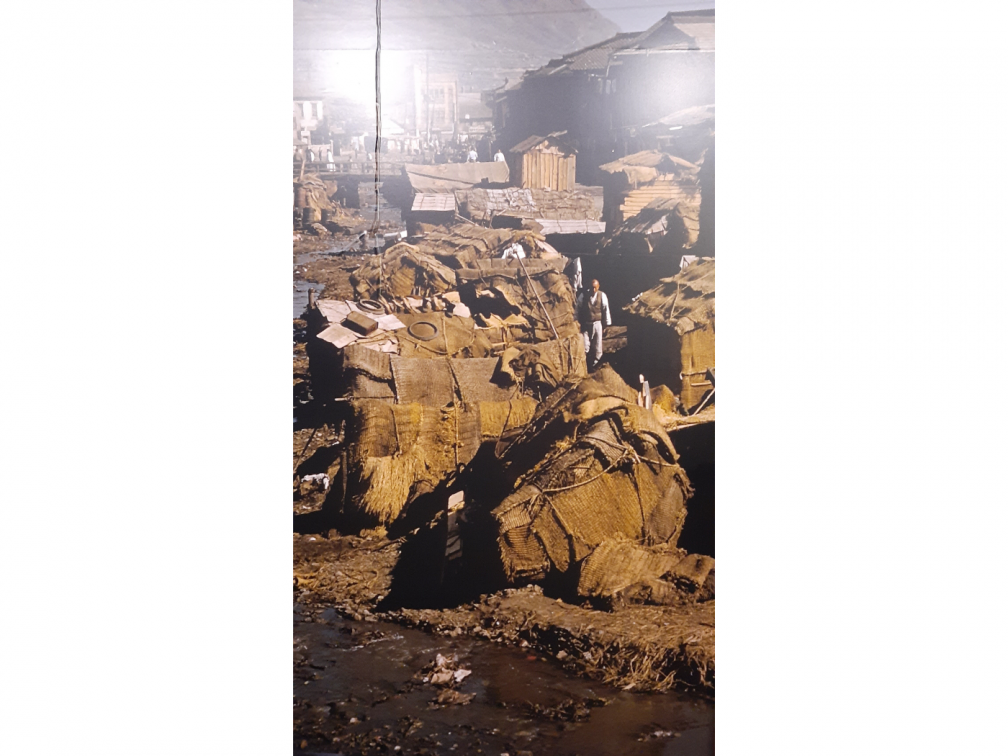 Refugee settlement in Busan, 1952