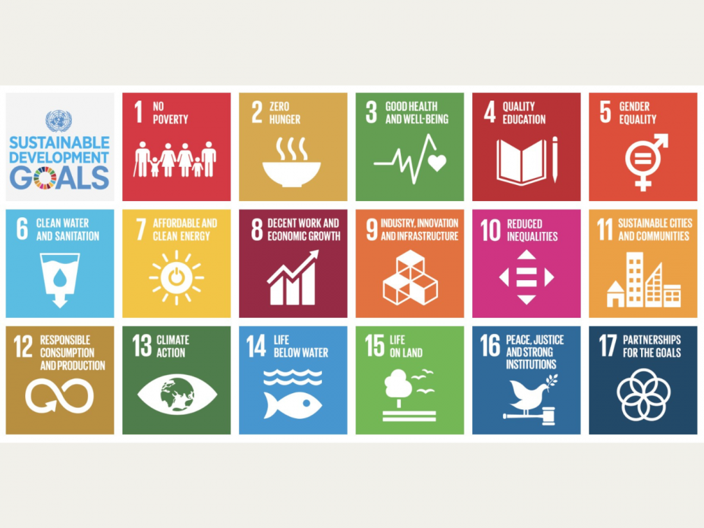 SDG goals