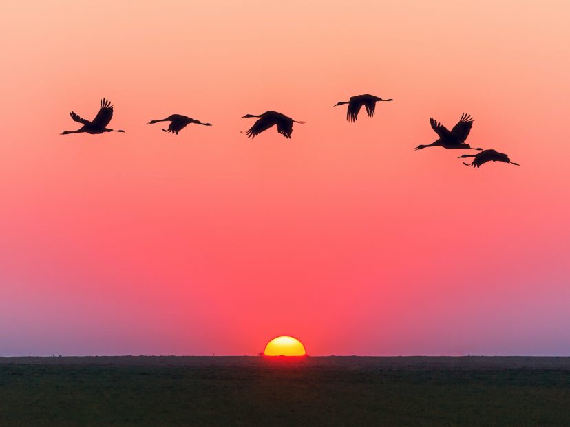 INTERCESSIONS FOR THE 30th SUNDAY OF THE YEAR