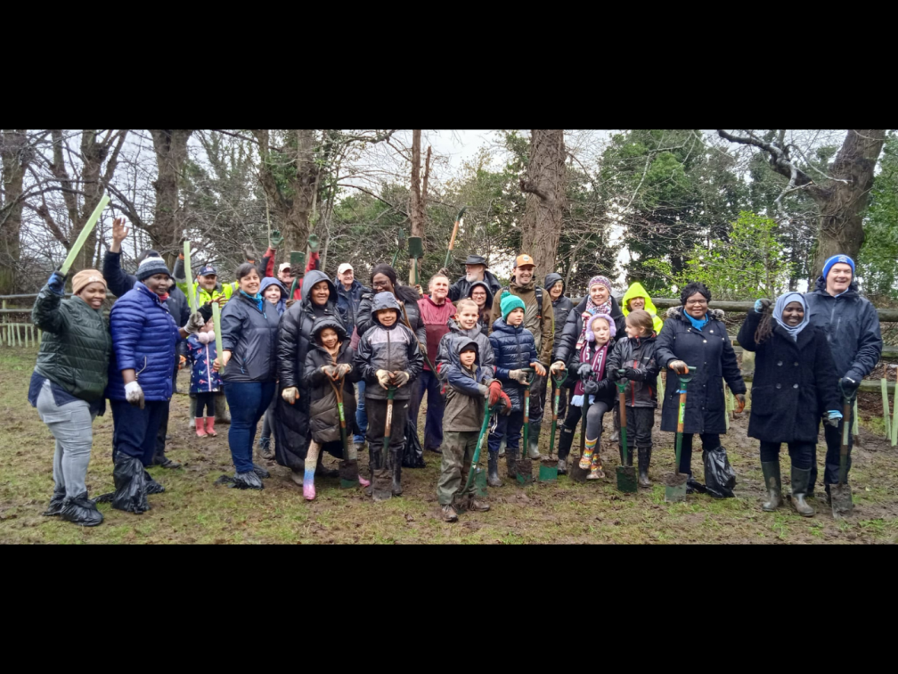 Tree Plantation in Solihull, Birmingham