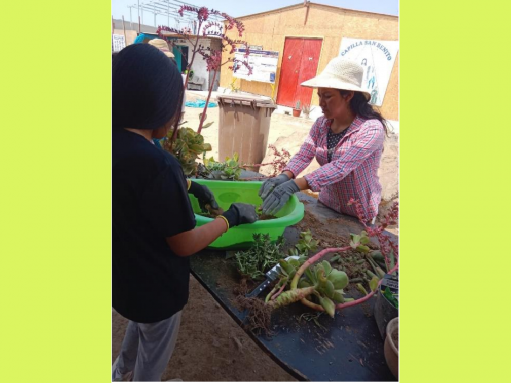 Warmi Huasi's Impact on Peru's Youth