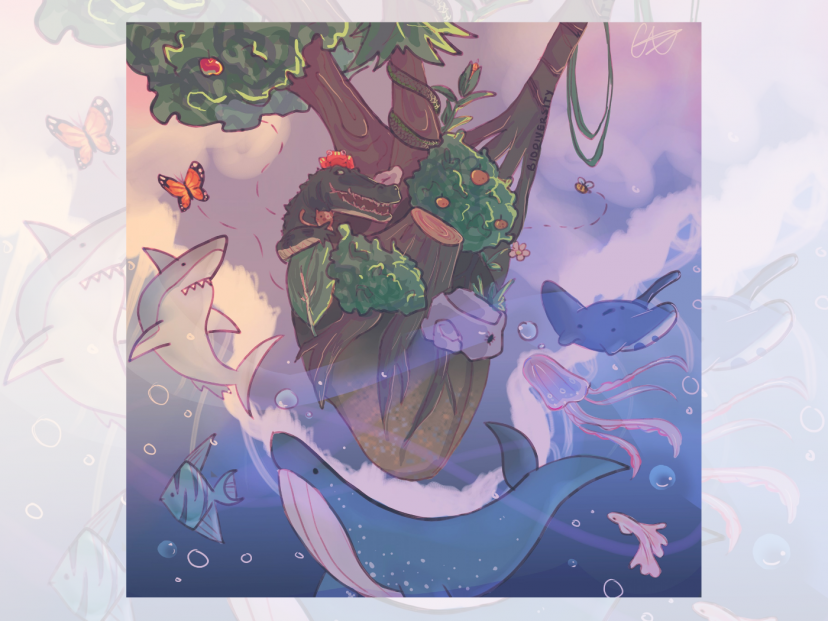 First place winning image