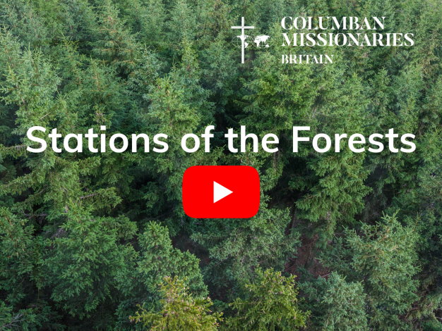 Stations of the Forest resource