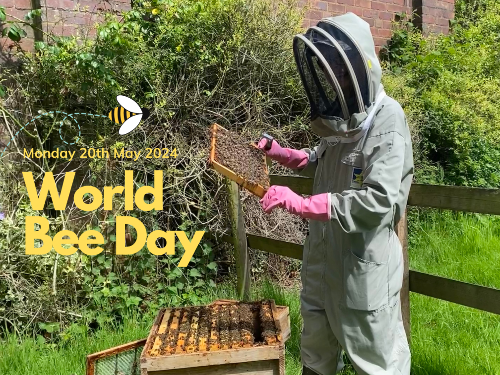 World Bee Day falls on 20th May 2024