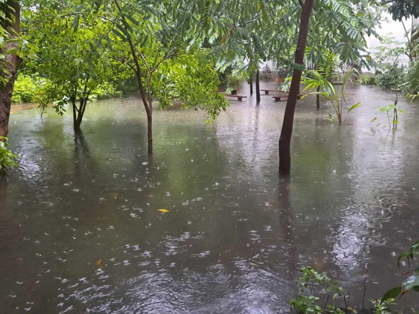 Devestating typhoon in the Philippines