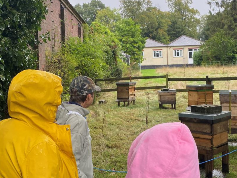 Bee hives in the grounds of St. Columbans