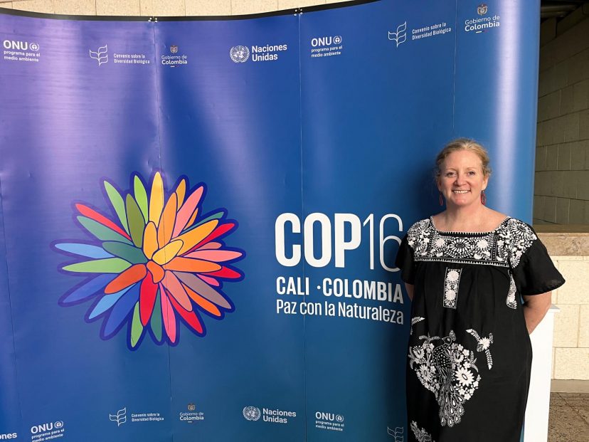 Amy Echeverria, Columban International Coordinator for Justice, Peace, and Ecology is present at the COP16
