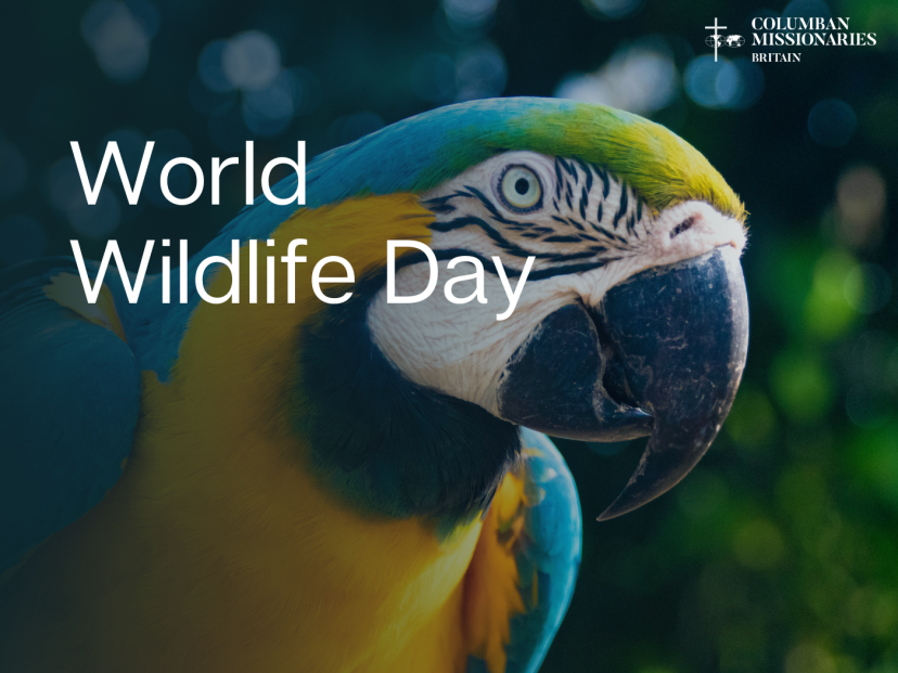 world wildlife Day