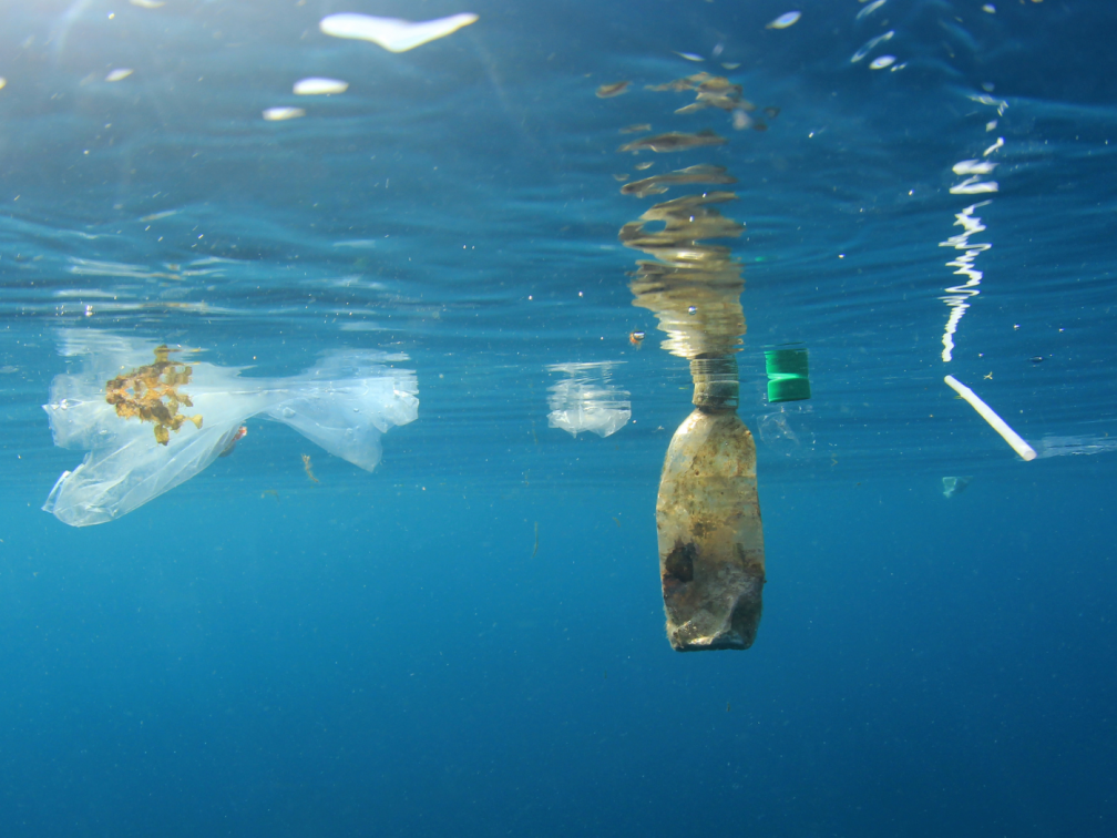 Plastic pollution in the ocean