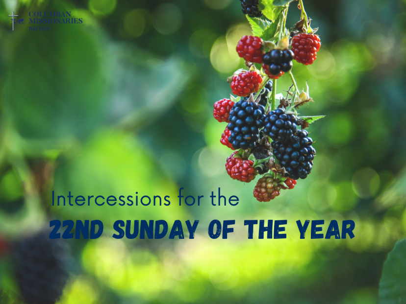 Intercessions for the 22nd Sunday of the Year