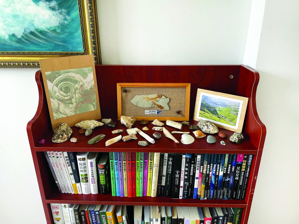 Display area in one of the ecology spaces. In recent years the Columbans in China have sponsored six communities in setting up ecology spaces displaying items from the natural world as well as relevant books, lenses and a microscope.