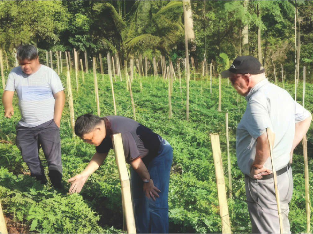 Fr. Oliver (standing on the right) visited the Living Soil Farm with Bobby Pagusara (Centre). The farm owner, Gerry Burdas (left), explains how the natural compost and bio-solution work on tomatoes