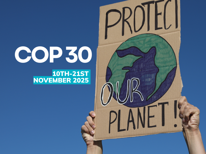COP30
