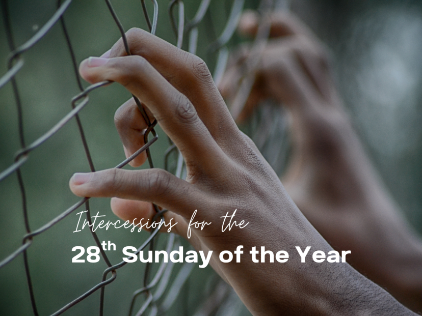 28th Sunday intercessions