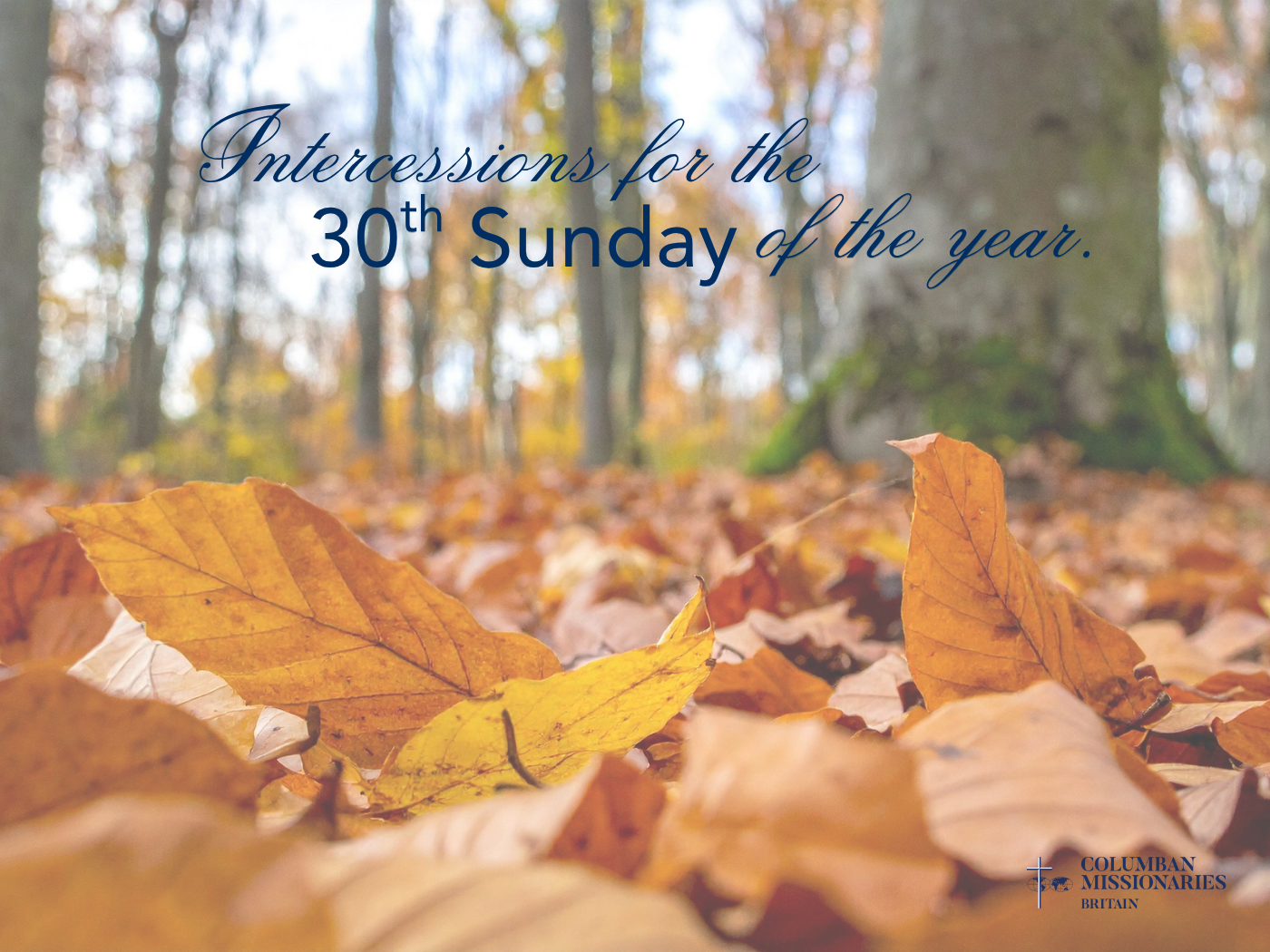 Intercessions 30th Sunday of the Year