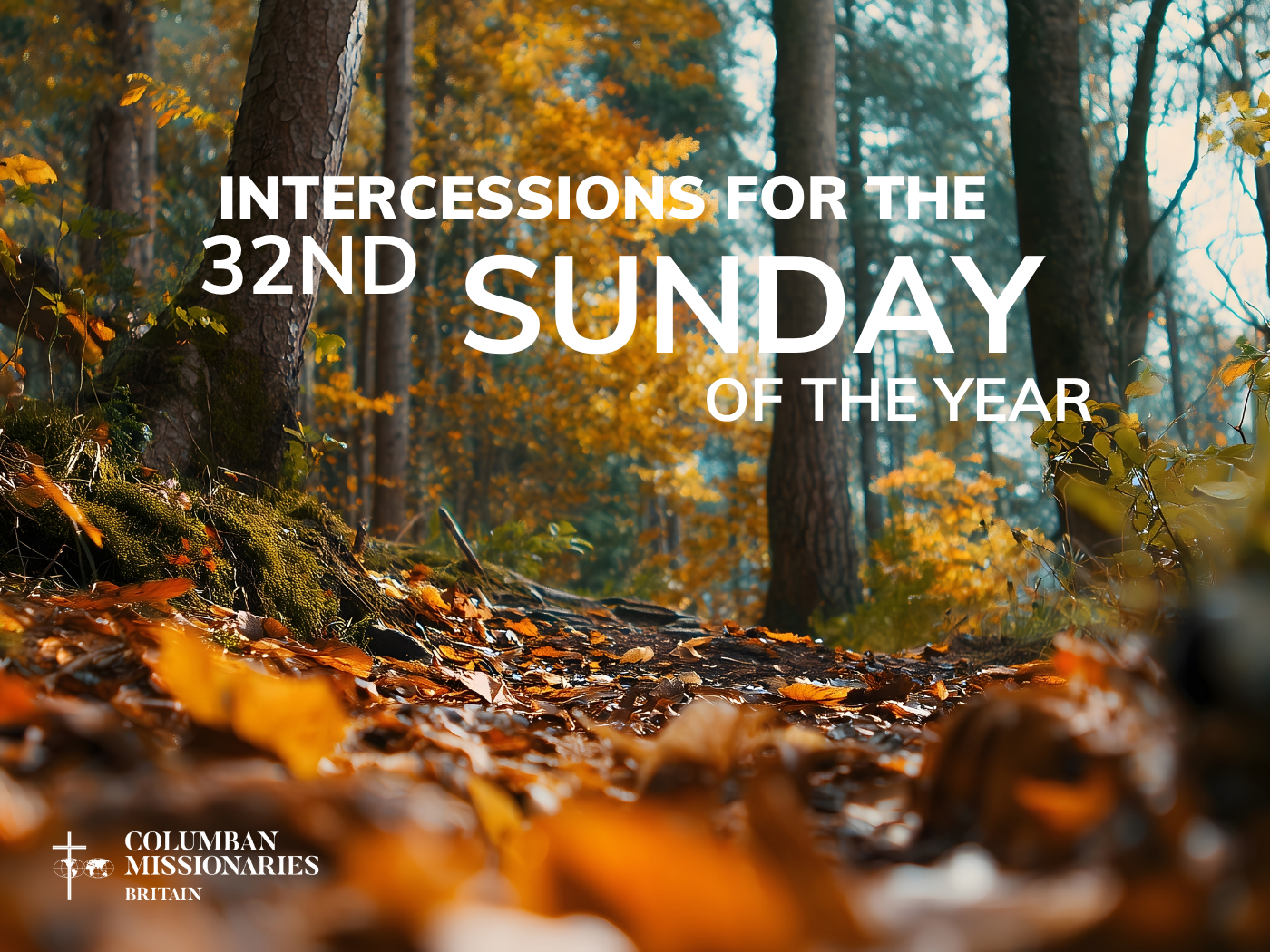Intercessions for the 32nd Sunday of the Year