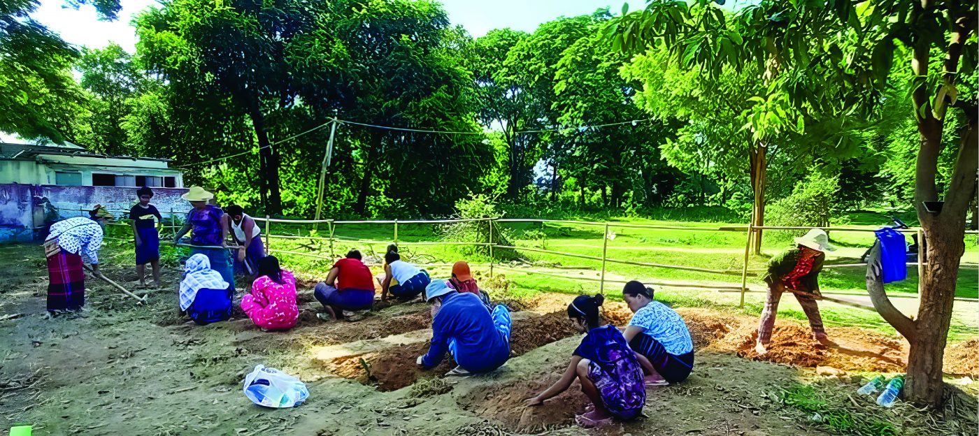 At work in the ecology garden