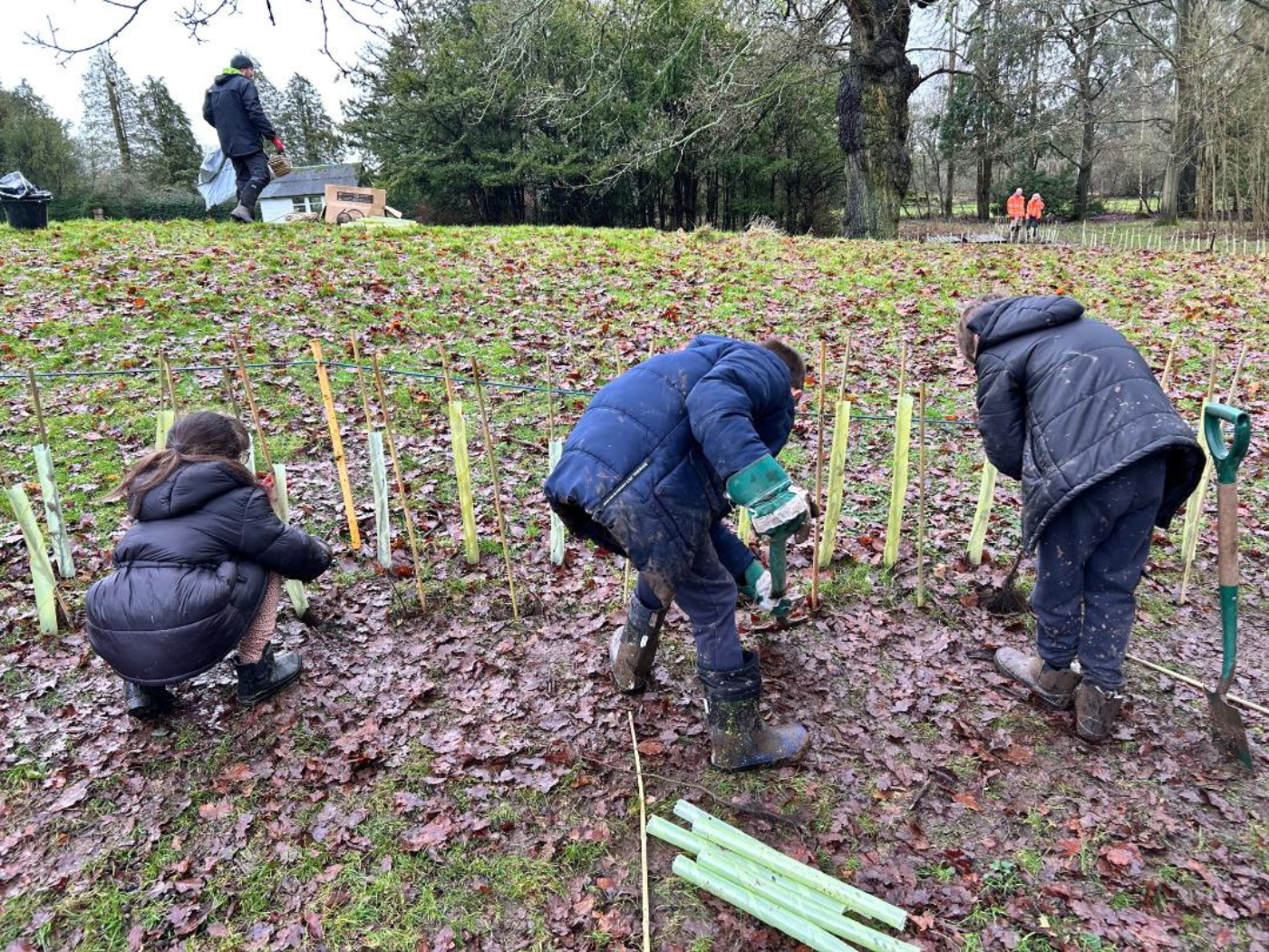 Students plant trees in teh Solihull grounds