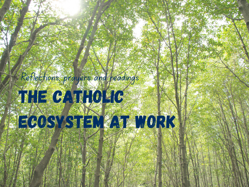 The Catholic ecosystem at work