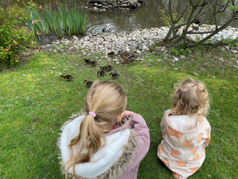 Emma's daughters admire the ducklings in their local park