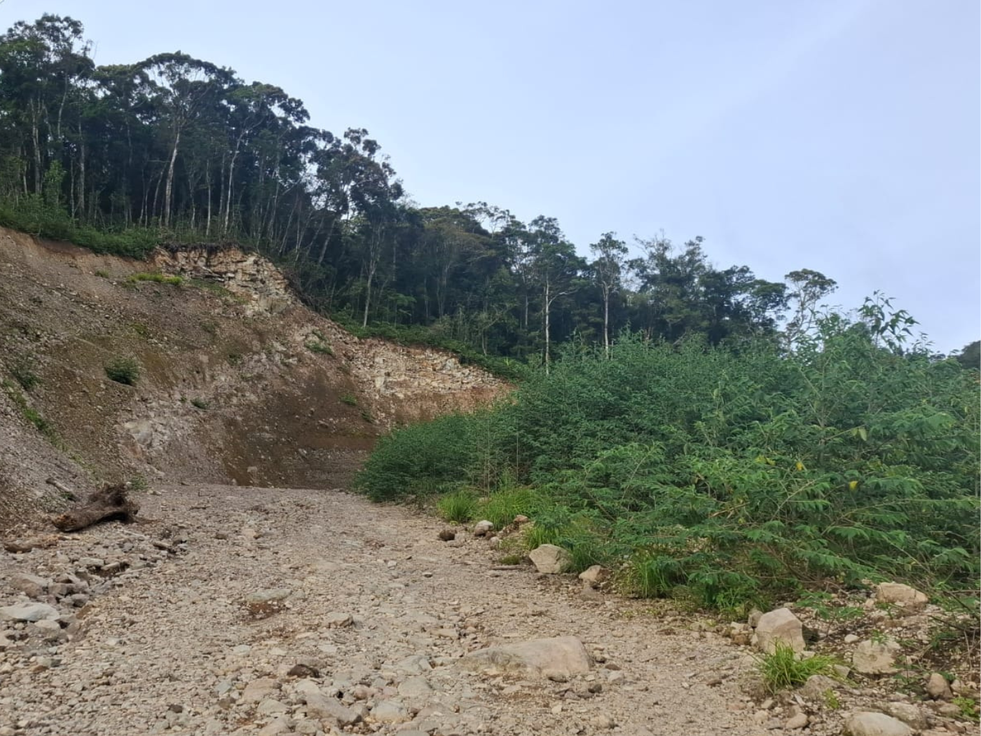 Road to Duminagat