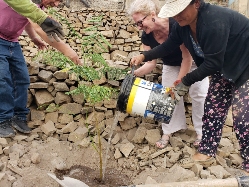 Amy plants a tree at the Columban chapel, Nueva Jerusalen in Lima, Peru