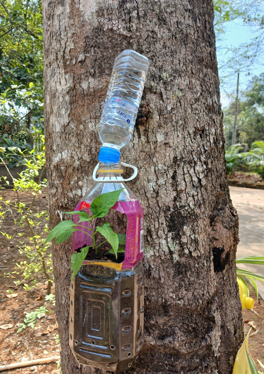 Michael uses plastic waste creatively in the Columbn central house gardens