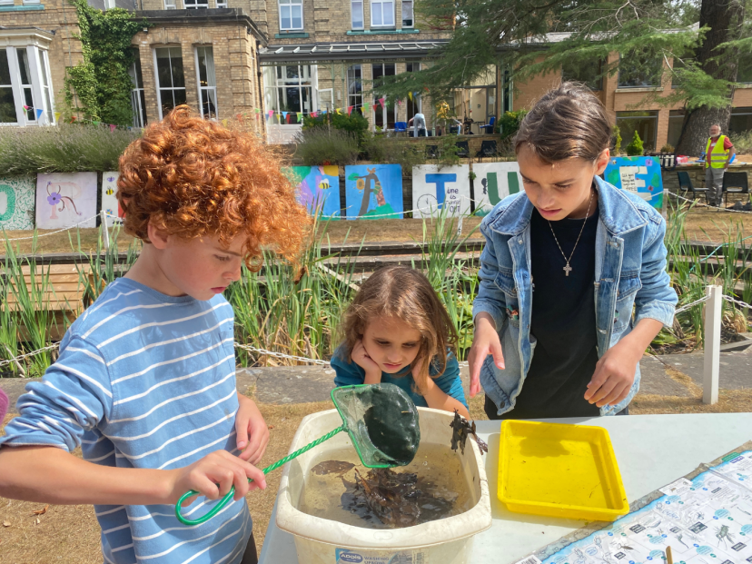 Children take a closer look at some of the pond life discovered during the Open Day