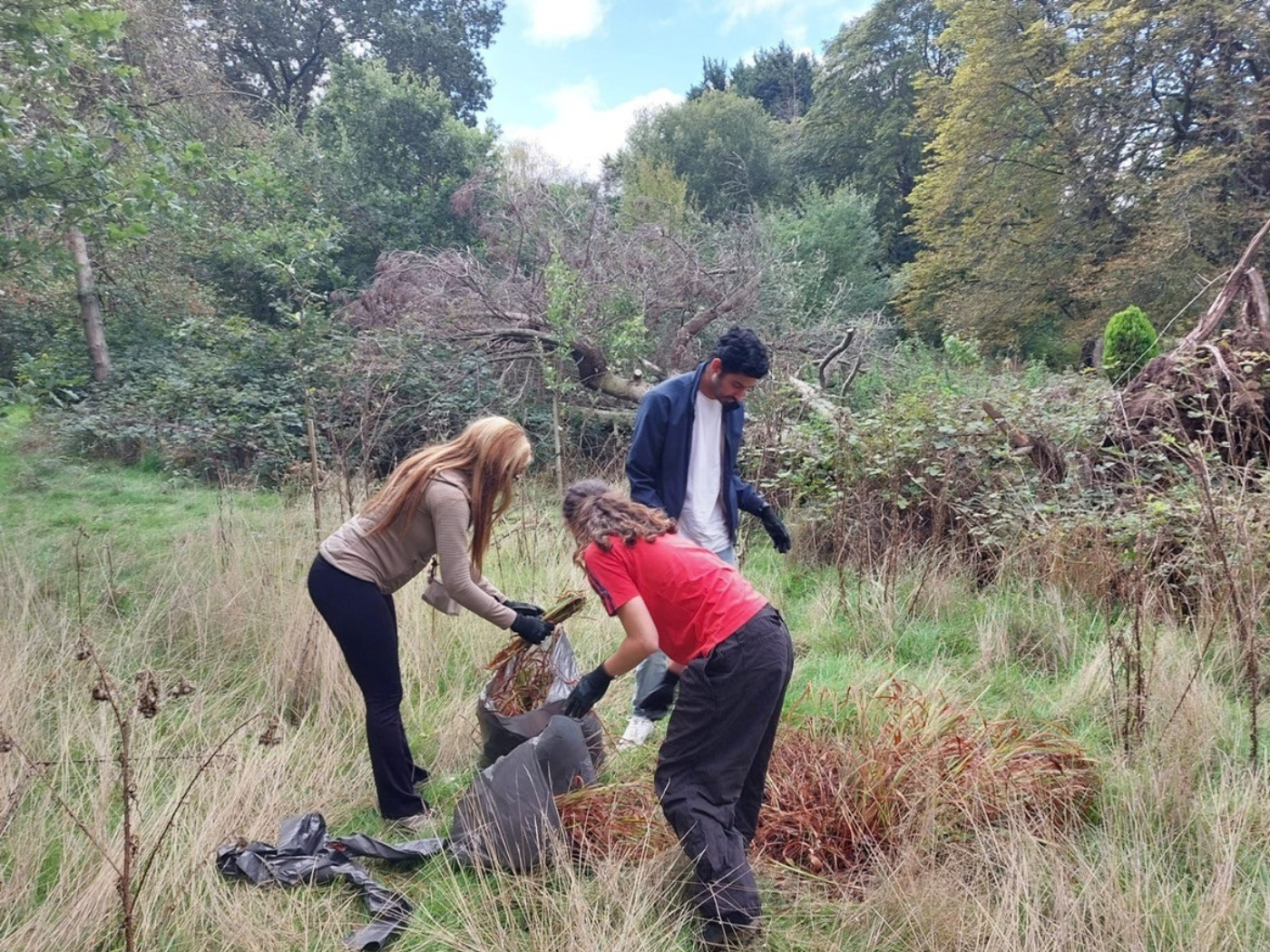Members of the volunteer team help to clear debris from the grounds