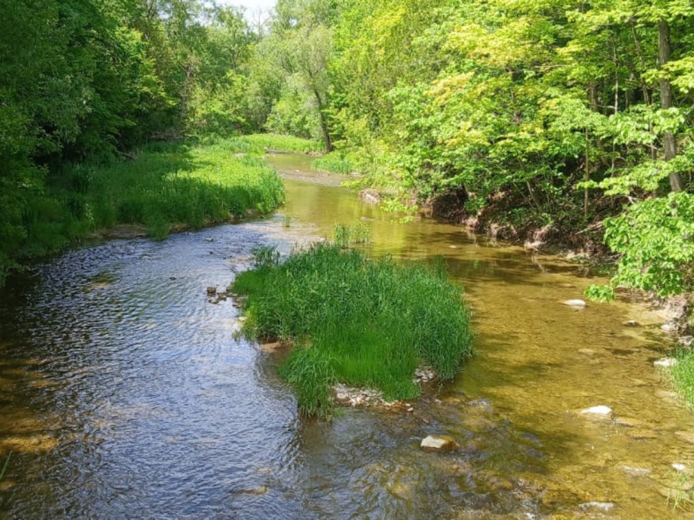 Rouge River in Ontario