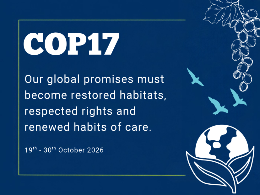 COP17