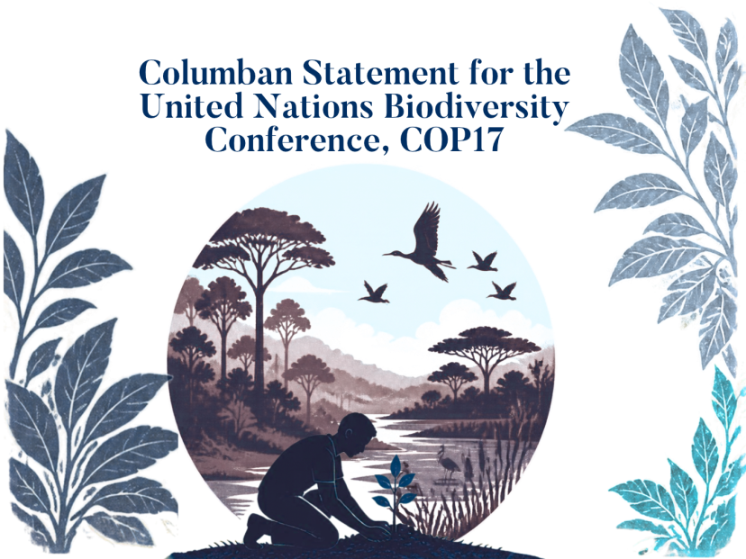 COP17 statement